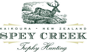 Spey Creek New Zealand by Fish and Hunt USA Web Design